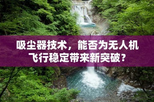 吸尘器技术，能否为无人机飞行稳定带来新突破？