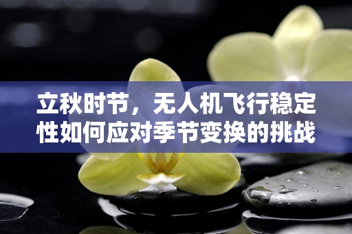 立秋时节，无人机飞行稳定性如何应对季节变换的挑战？
