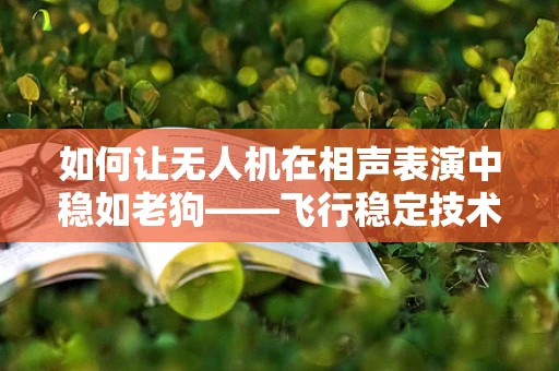如何让无人机在相声表演中稳如老狗——飞行稳定技术大挑战