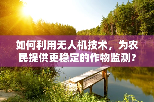 如何利用无人机技术，为农民提供更稳定的作物监测？