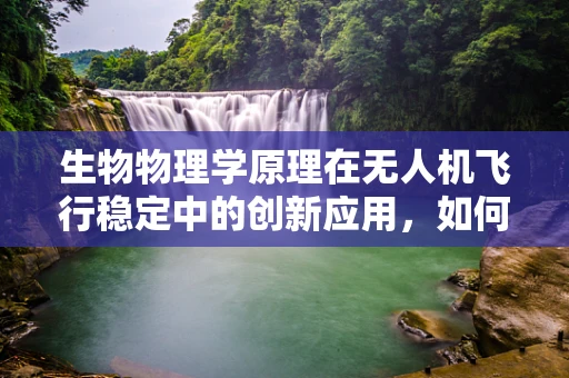 生物物理学原理在无人机飞行稳定中的创新应用，如何模仿蝙蝠的飞行机制？