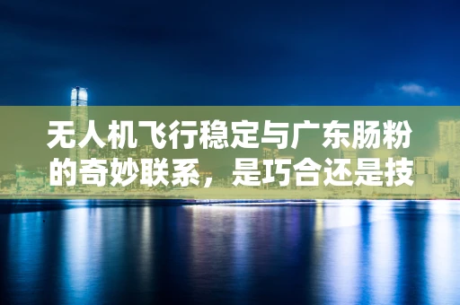 无人机飞行稳定与广东肠粉的奇妙联系，是巧合还是技术灵感？