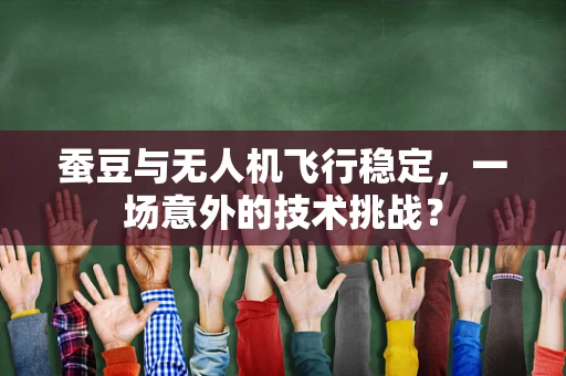 蚕豆与无人机飞行稳定，一场意外的技术挑战？