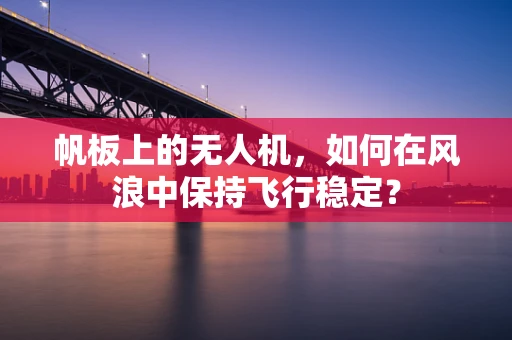 帆板上的无人机，如何在风浪中保持飞行稳定？