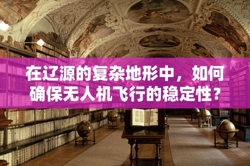 在辽源的复杂地形中，如何确保无人机飞行的稳定性？