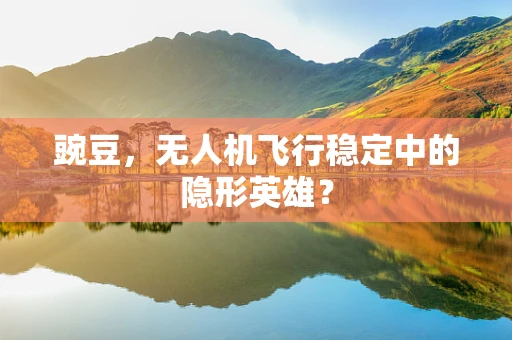 豌豆，无人机飞行稳定中的隐形英雄？