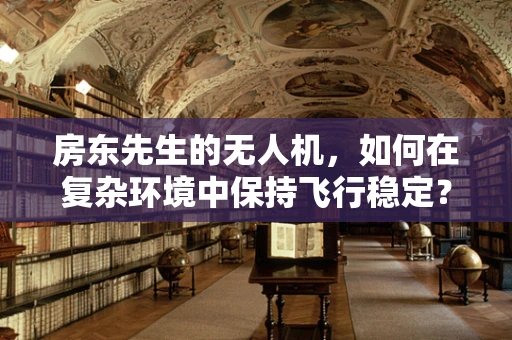 房东先生的无人机，如何在复杂环境中保持飞行稳定？