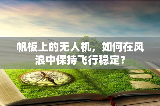 帆板上的无人机，如何在风浪中保持飞行稳定？