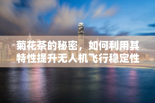 菊花茶的秘密，如何利用其特性提升无人机飞行稳定性？