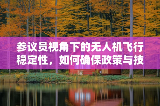 参议员视角下的无人机飞行稳定性，如何确保政策与技术的和谐共舞？