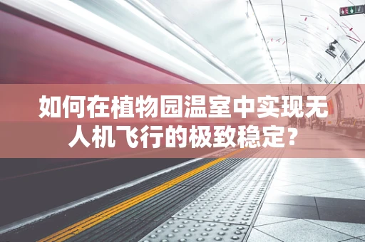 如何在植物园温室中实现无人机飞行的极致稳定？