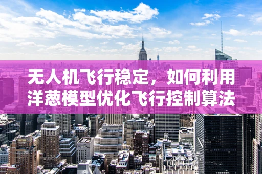 无人机飞行稳定，如何利用洋葱模型优化飞行控制算法？