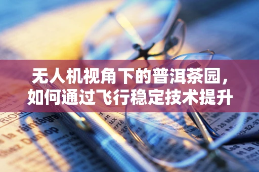 无人机视角下的普洱茶园，如何通过飞行稳定技术提升茶叶采摘效率？