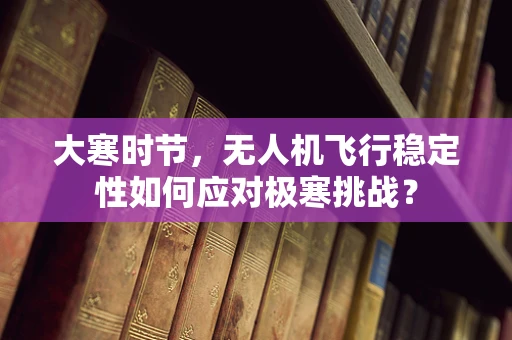 大寒时节，无人机飞行稳定性如何应对极寒挑战？