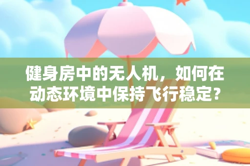 健身房中的无人机，如何在动态环境中保持飞行稳定？