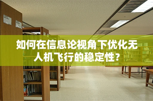 如何在信息论视角下优化无人机飞行的稳定性？