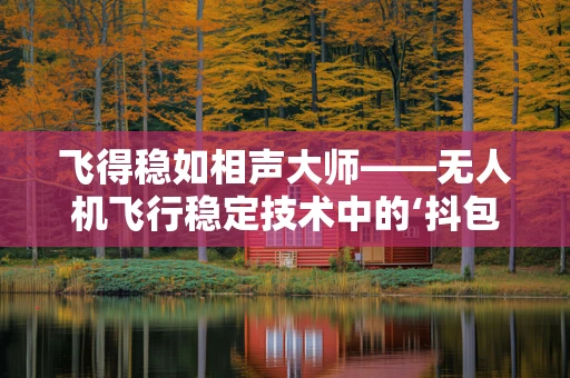 飞得稳如相声大师——无人机飞行稳定技术中的‘抖包袱’艺术