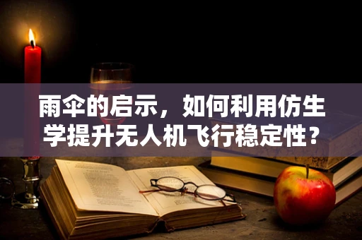 雨伞的启示，如何利用仿生学提升无人机飞行稳定性？
