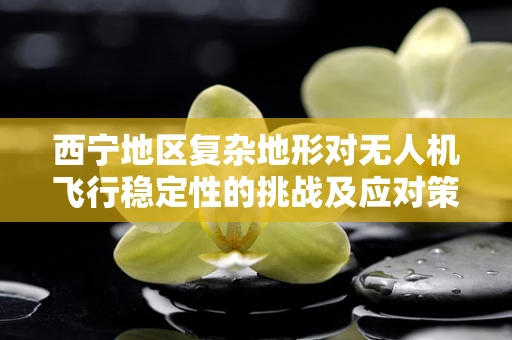 西宁地区复杂地形对无人机飞行稳定性的挑战及应对策略