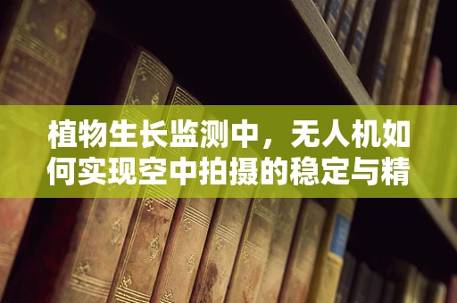 植物生长监测中，无人机如何实现空中拍摄的稳定与精准？