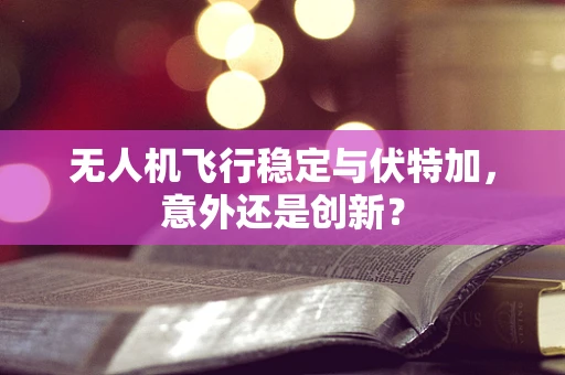 无人机飞行稳定与伏特加，意外还是创新？
