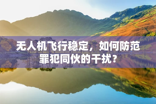 无人机飞行稳定，如何防范罪犯同伙的干扰？