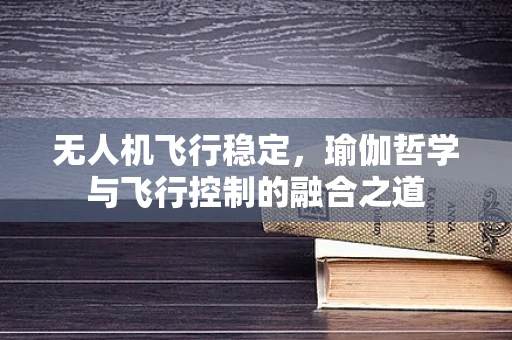 无人机飞行稳定，瑜伽哲学与飞行控制的融合之道
