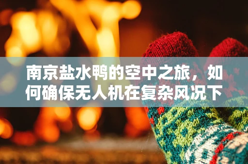 南京盐水鸭的空中之旅，如何确保无人机在复杂风况下稳定飞行？