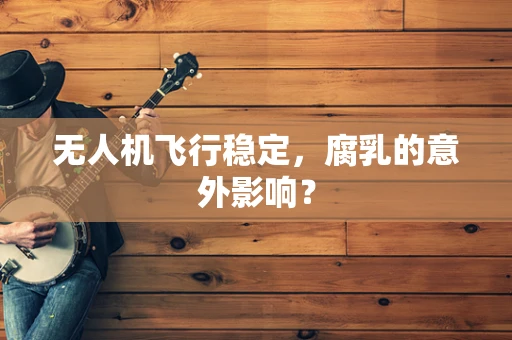 无人机飞行稳定，腐乳的意外影响？