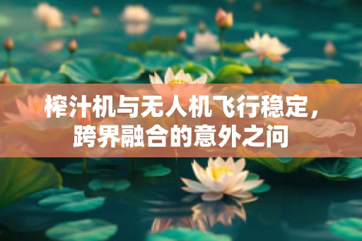 榨汁机与无人机飞行稳定，跨界融合的意外之问