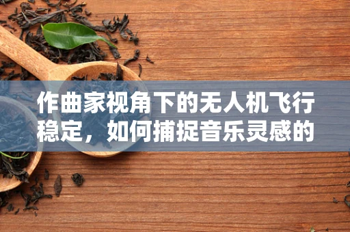 作曲家视角下的无人机飞行稳定，如何捕捉音乐灵感的空中轨迹？