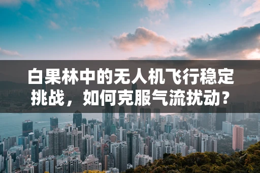 白果林中的无人机飞行稳定挑战，如何克服气流扰动？