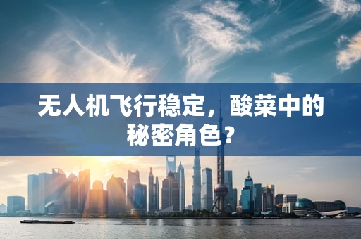 无人机飞行稳定，酸菜中的秘密角色？