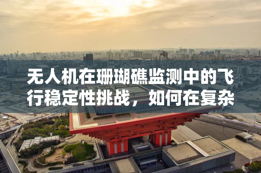 无人机在珊瑚礁监测中的飞行稳定性挑战，如何在复杂环境中保持精准定位？