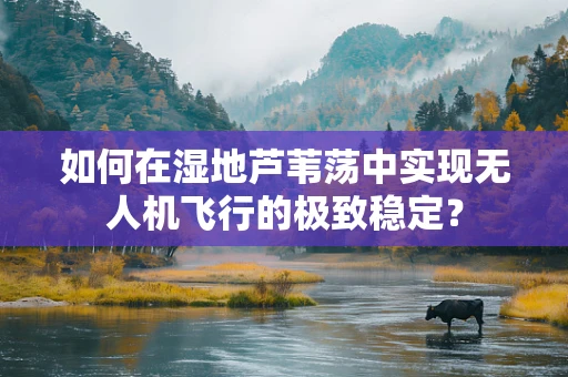 如何在湿地芦苇荡中实现无人机飞行的极致稳定？
