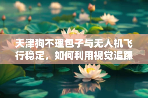 天津狗不理包子与无人机飞行稳定，如何利用视觉追踪技术确保美食拍摄的稳定？