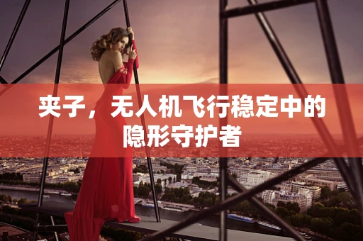 夹子，无人机飞行稳定中的隐形守护者