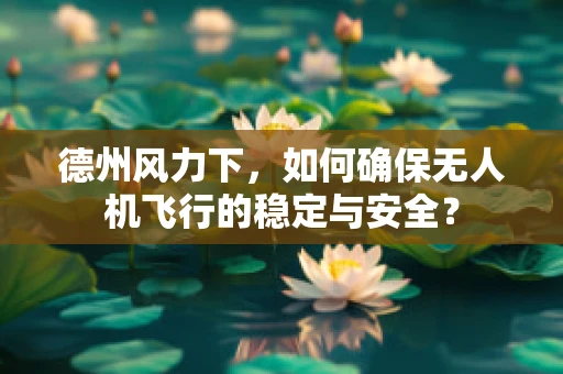 德州风力下，如何确保无人机飞行的稳定与安全？