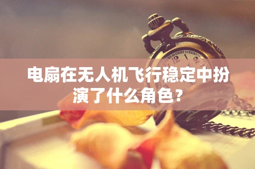 电扇在无人机飞行稳定中扮演了什么角色？