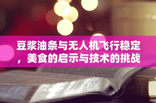豆浆油条与无人机飞行稳定，美食的启示与技术的挑战