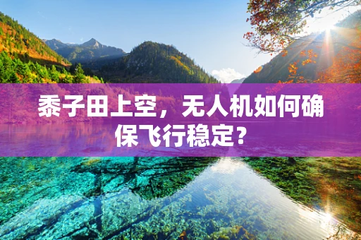 黍子田上空，无人机如何确保飞行稳定？