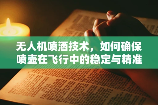 无人机喷洒技术，如何确保喷壶在飞行中的稳定与精准？