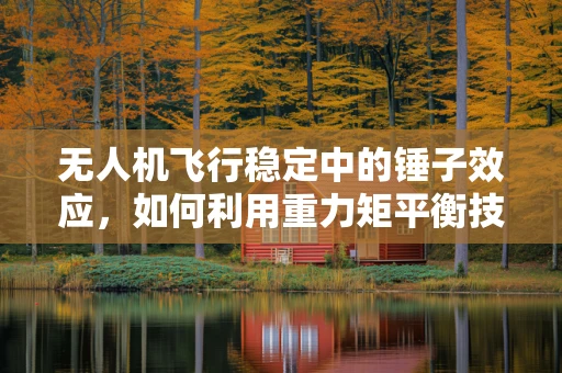 无人机飞行稳定中的锤子效应，如何利用重力矩平衡技术？