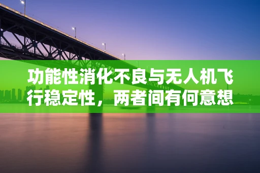 功能性消化不良与无人机飞行稳定性，两者间有何意想不到的联系？