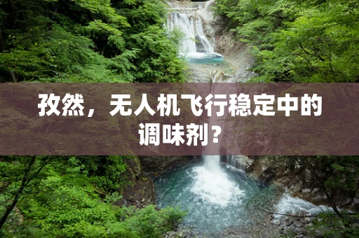 孜然，无人机飞行稳定中的调味剂？