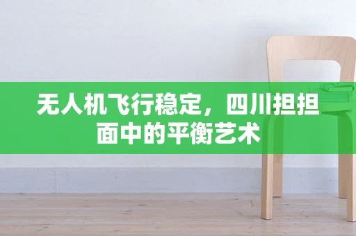 无人机飞行稳定，四川担担面中的平衡艺术