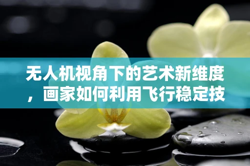 无人机视角下的艺术新维度，画家如何利用飞行稳定技术捕捉灵感瞬间？