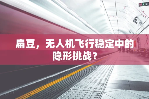 扁豆，无人机飞行稳定中的隐形挑战？