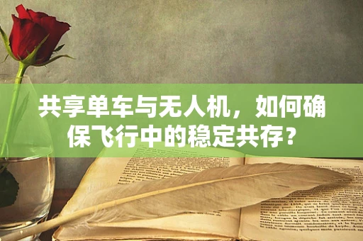 共享单车与无人机，如何确保飞行中的稳定共存？