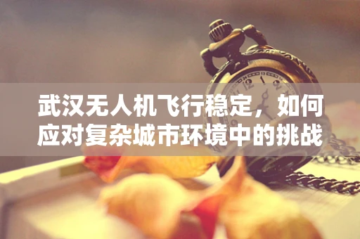 武汉无人机飞行稳定，如何应对复杂城市环境中的挑战？
